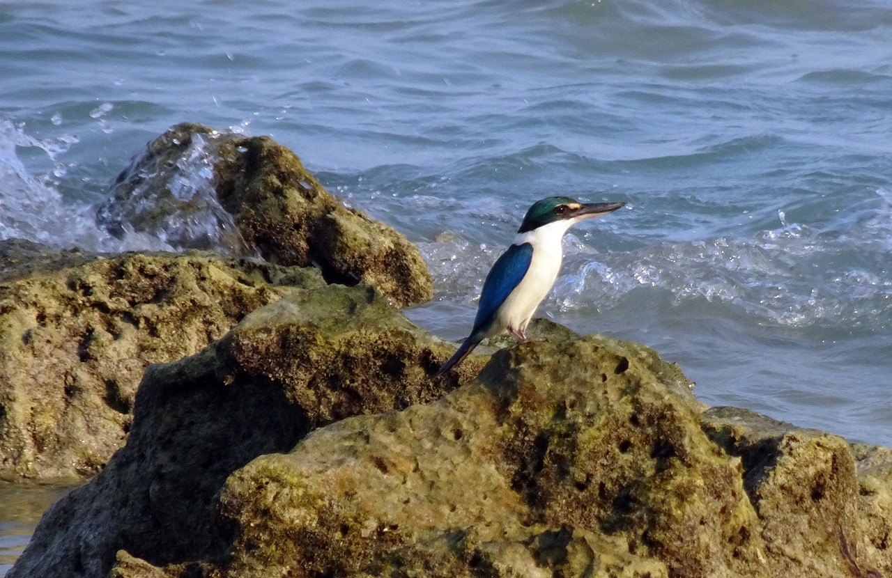 最新型核动力航母揭秘,科技巨擘的海洋力量震撼登场