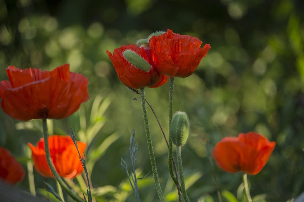 武汉南四环线建设进展、最新动态与未来展望