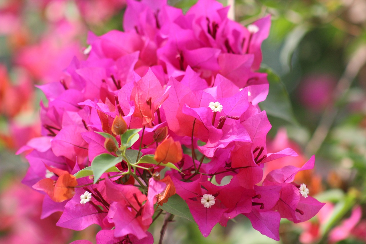 上海宝山区最新职位招聘动态与展望