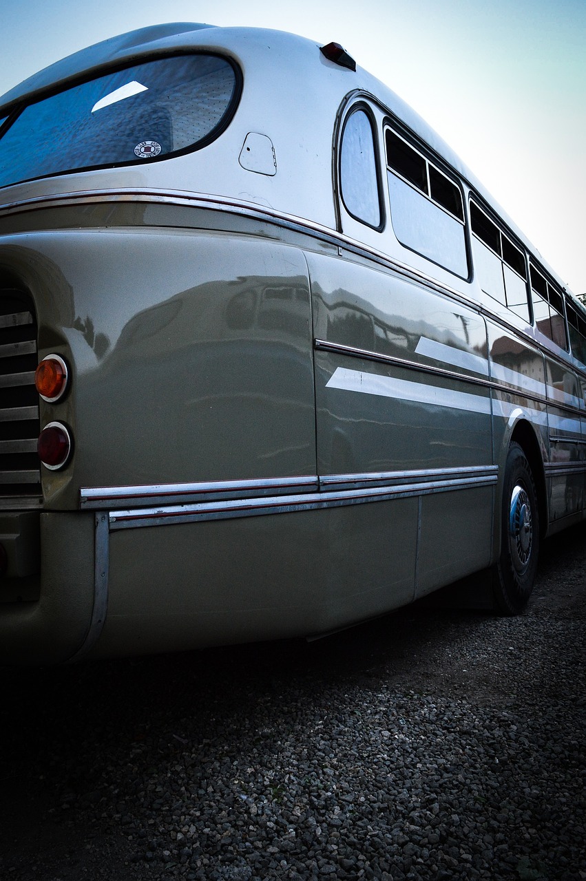 野马鲁最新冒险之旅启程