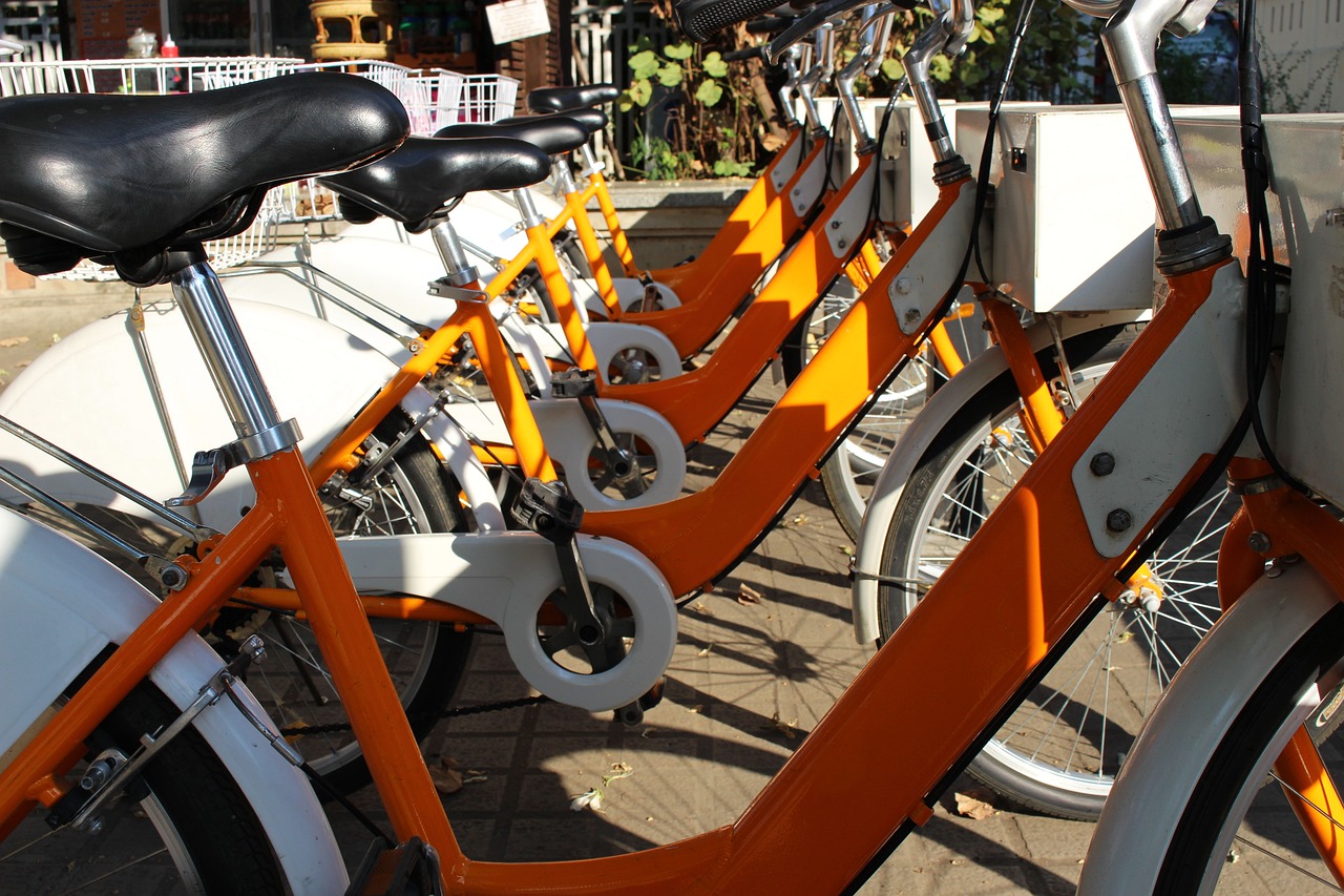 河北最新招聘信息及招聘动态总览