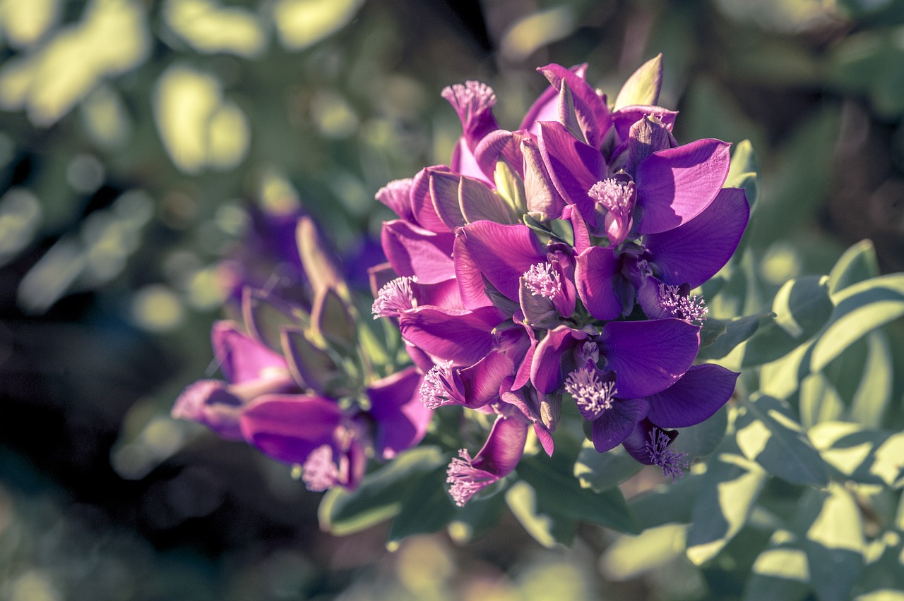 云南蓬勃发展新动态,最新新闻报道与多彩云南风采