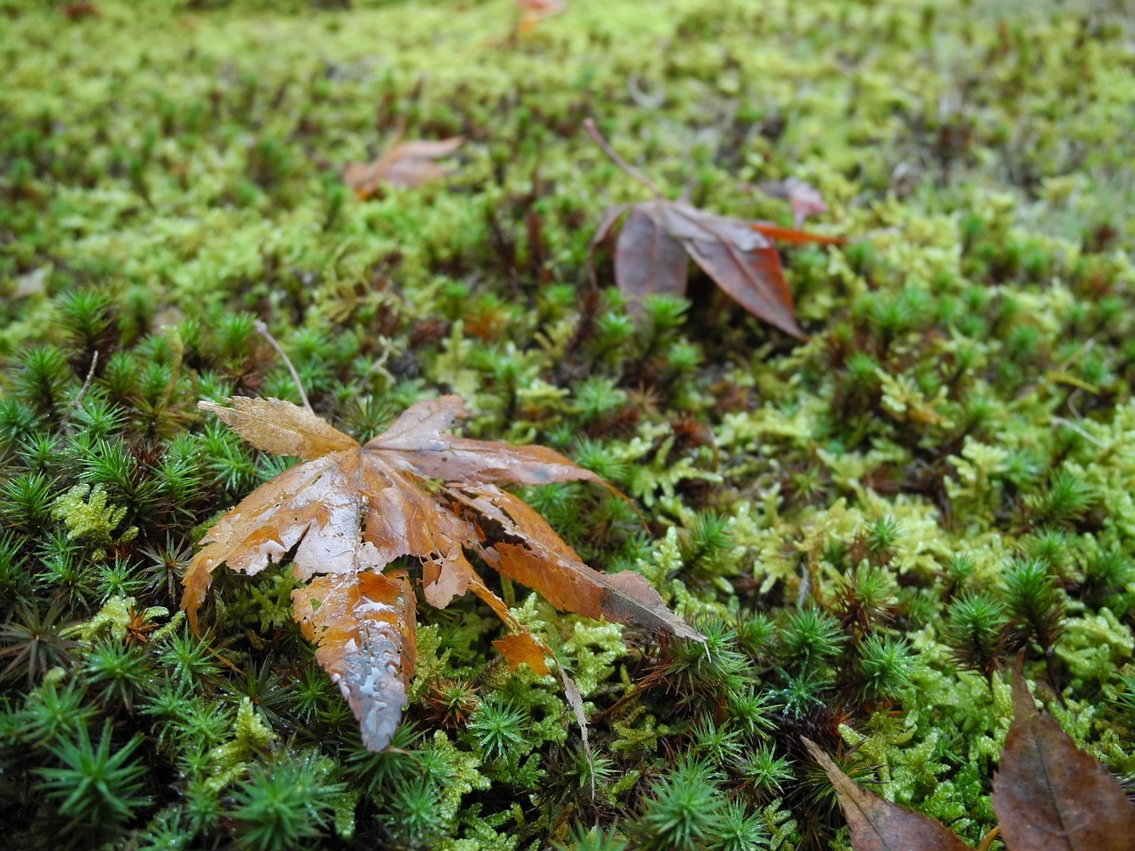 沅陵红网聚焦时事热点,传递地方发展动态最新资讯首页