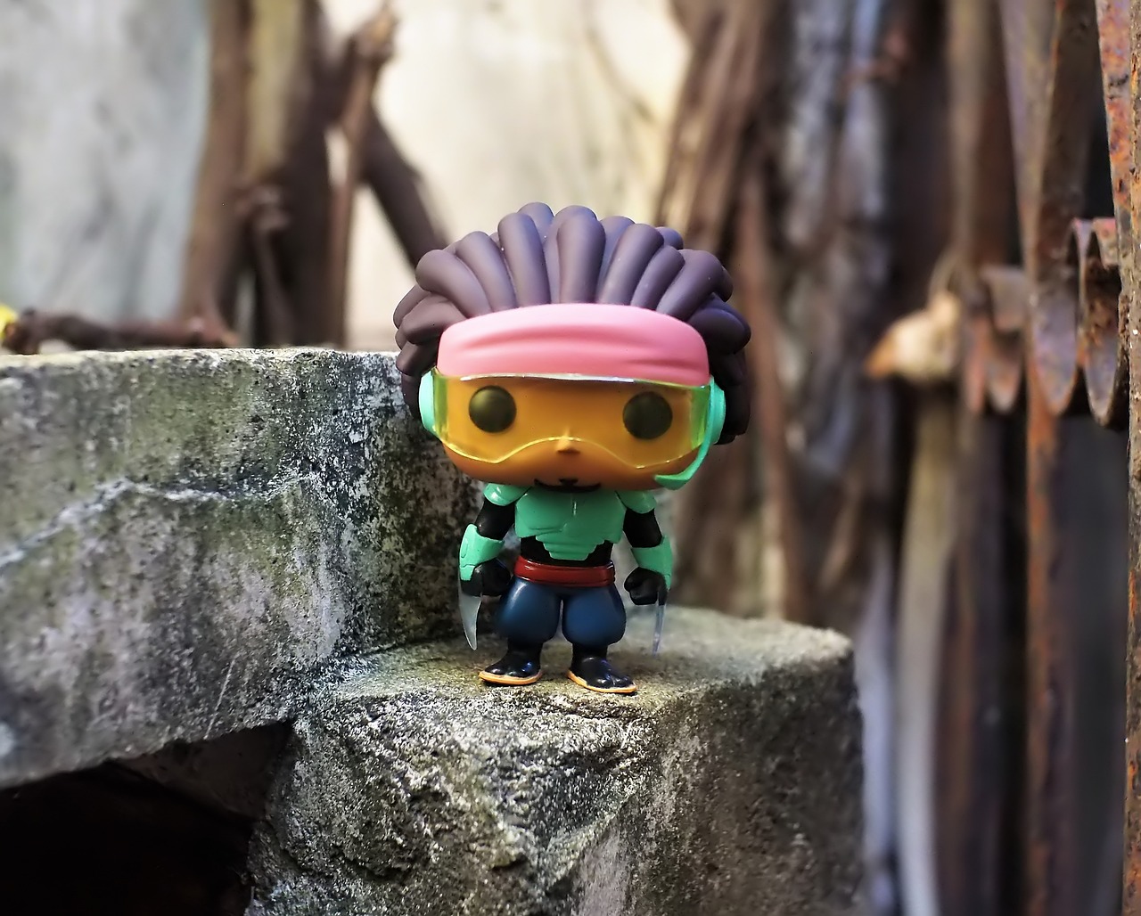 屏幕中的龟类英雄,探索乌龟的动漫世界