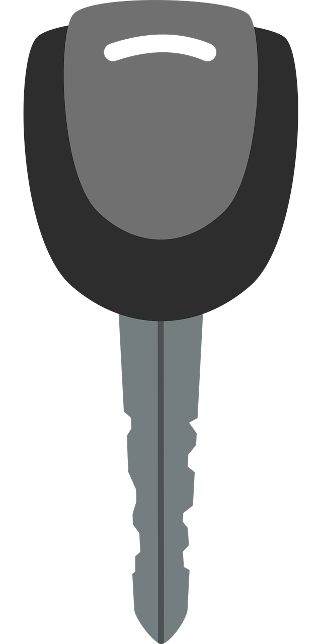 万正大帝苑最新动态揭秘,未来辉煌篇章的开启