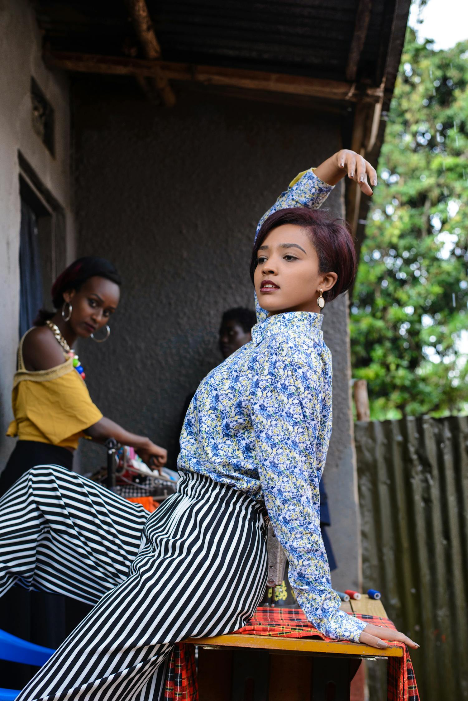 最新莲姿,绽放的美丽与时尚魅力