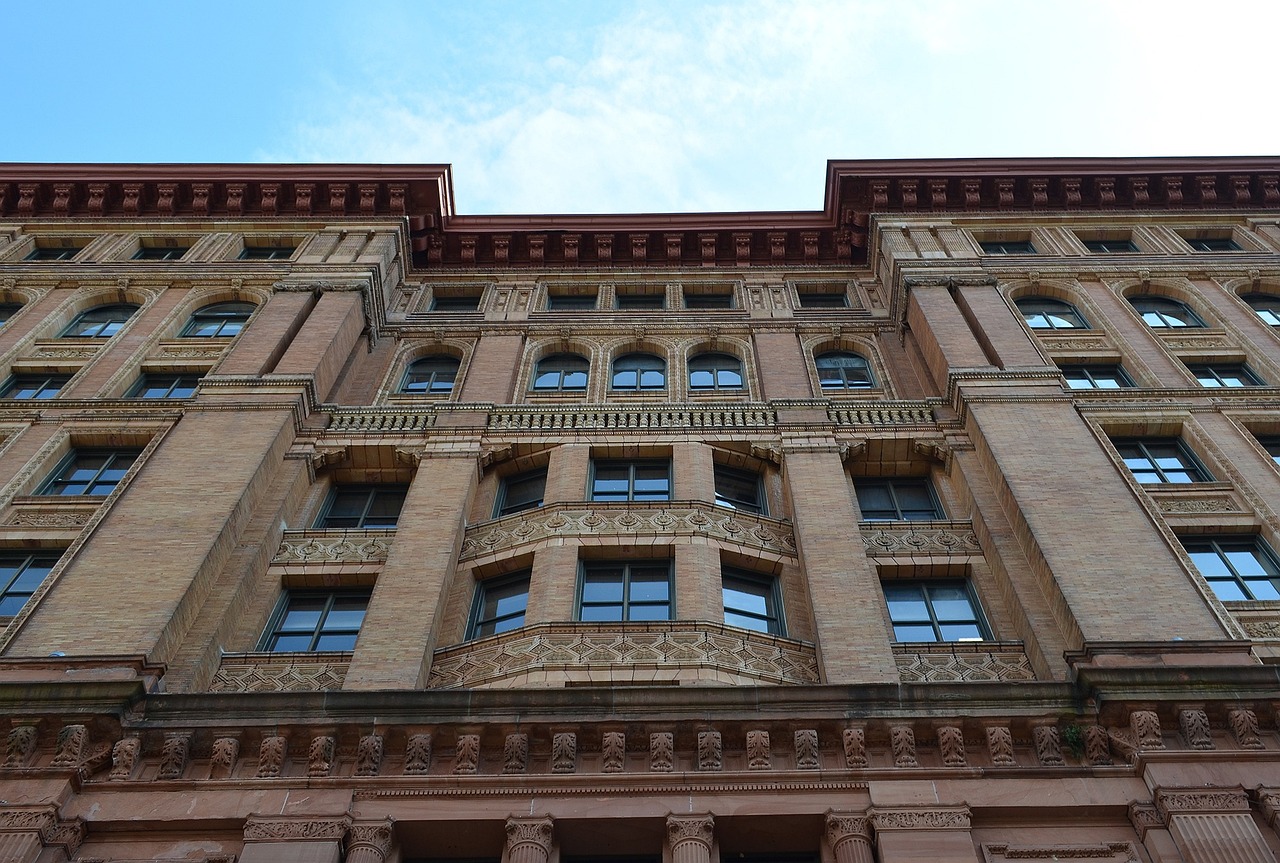 花生价格动态,市场走势、影响因素及未来展望分析