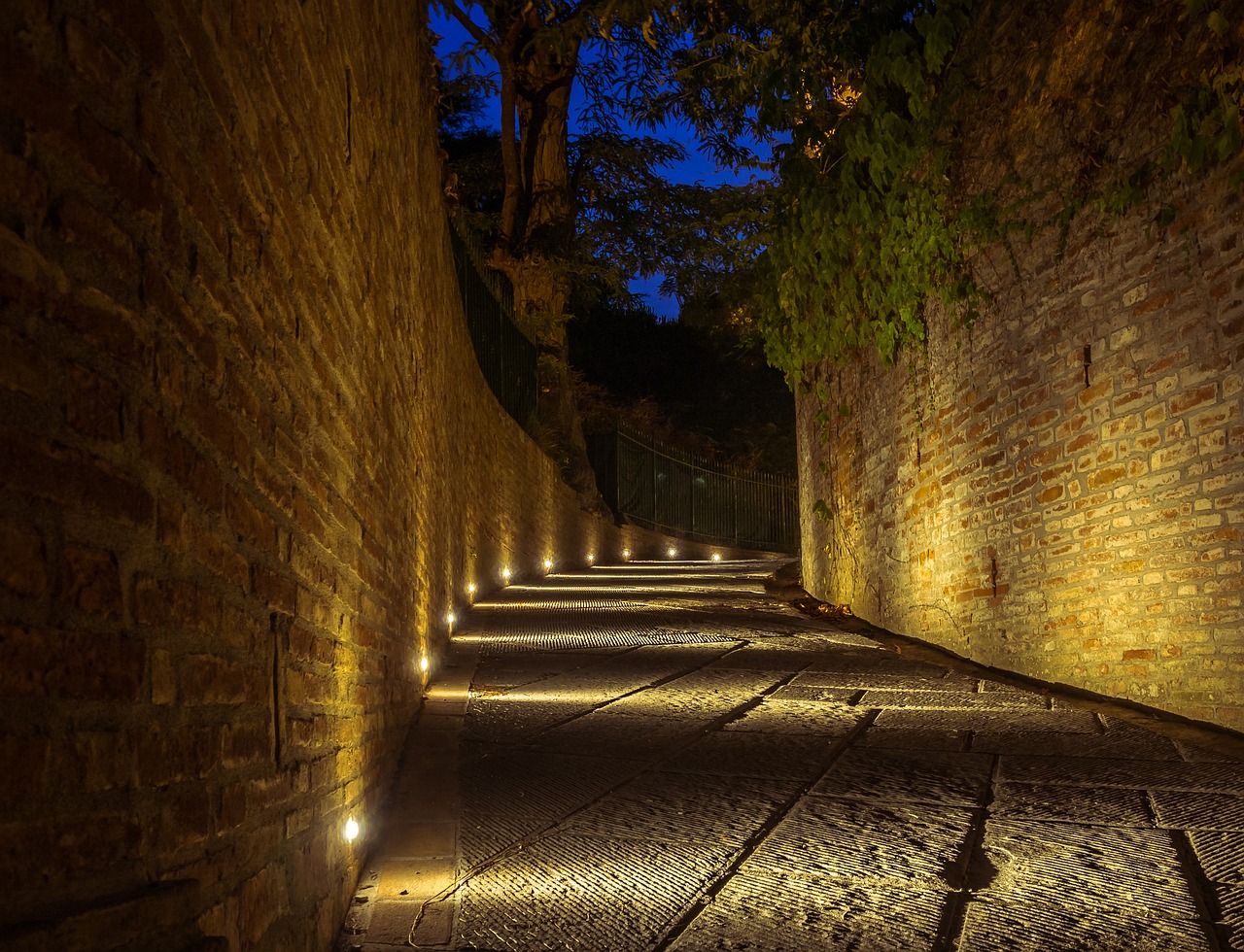 韶关明星,文化之路的璀璨光芒