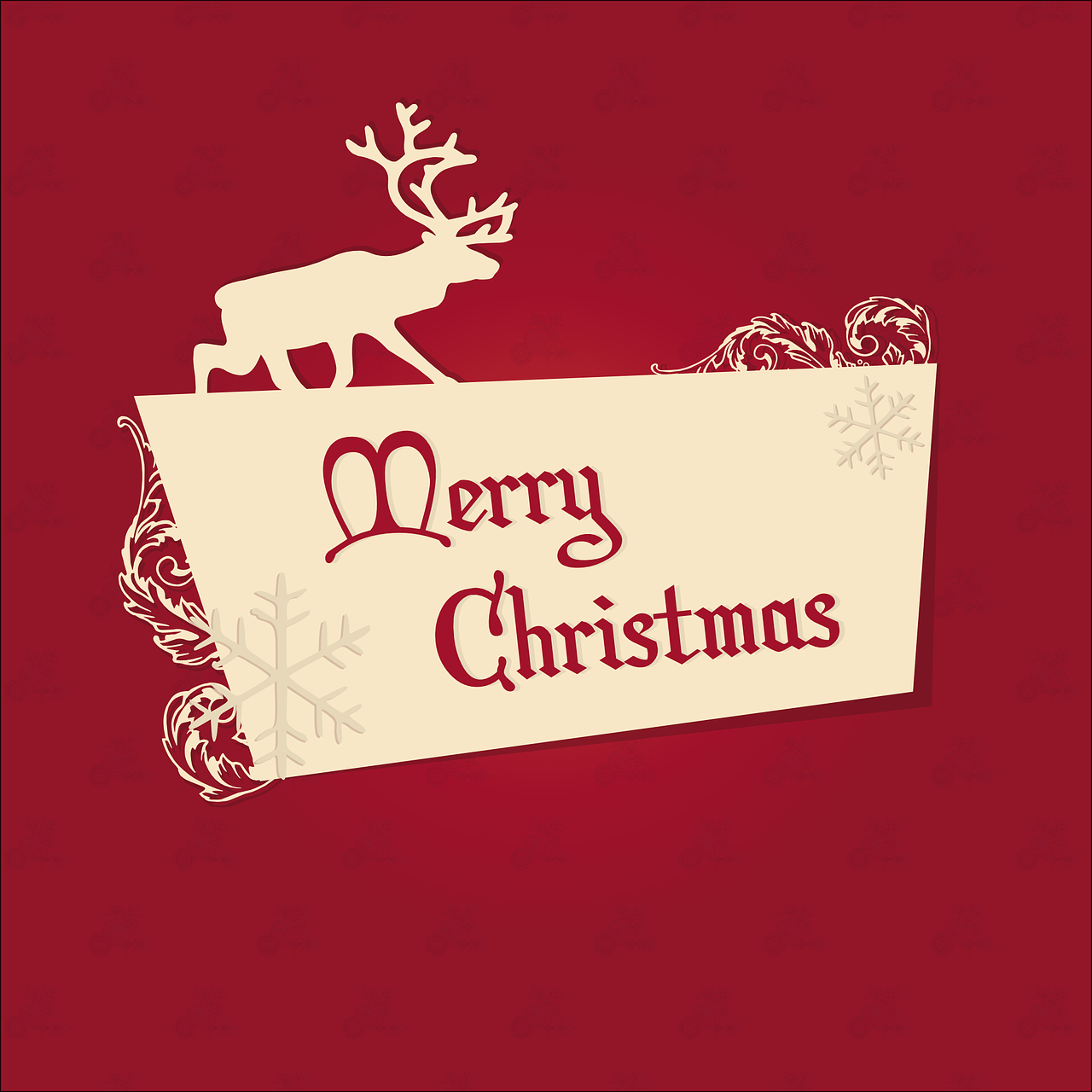 新年愿望揭晓,期待与行动共创美好未来