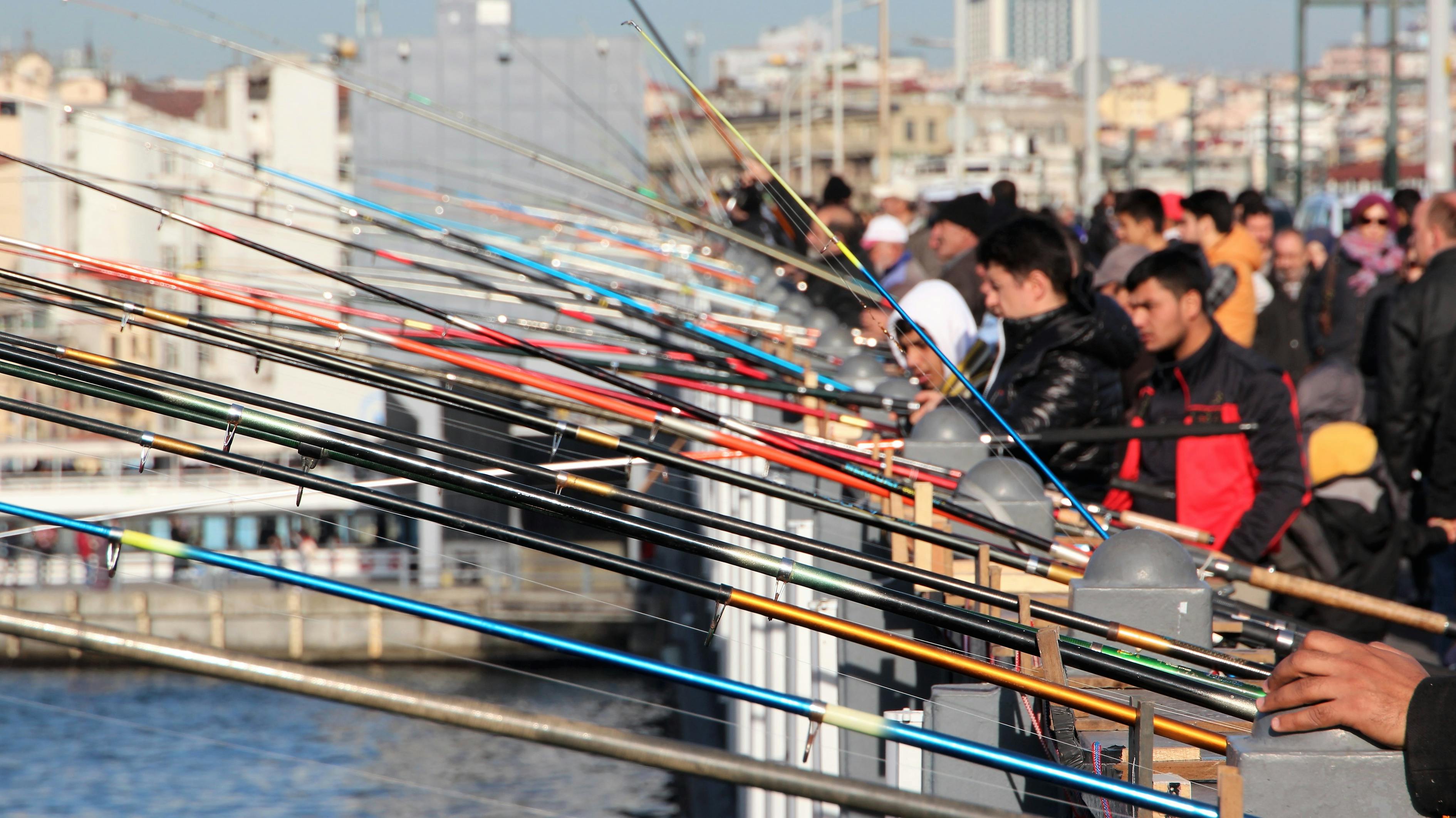 技术革新引领钓鱼新纪元,最新钓竿体验分享