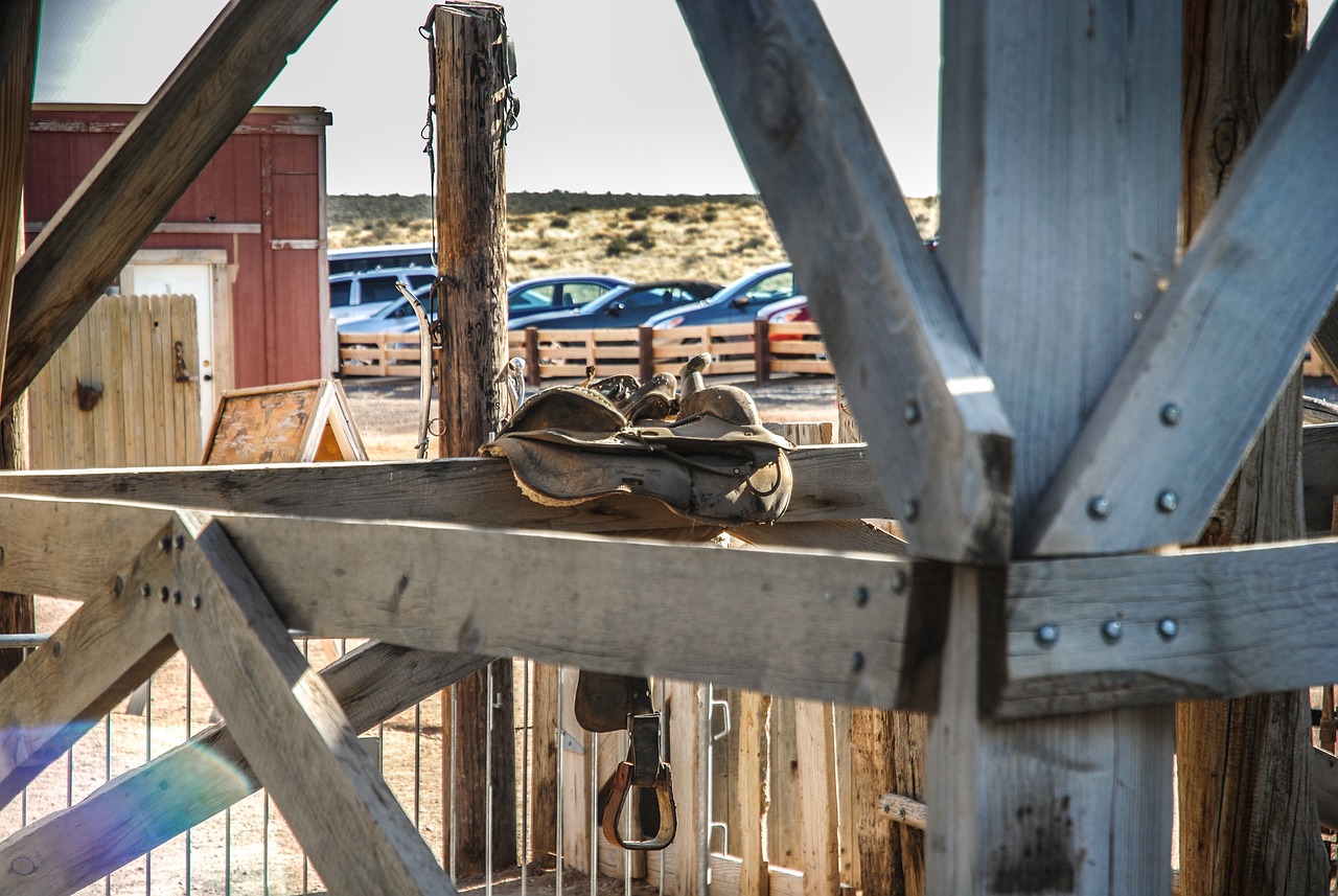 汤阴机场最新动态,建设进展、未来展望及其对地区的影响