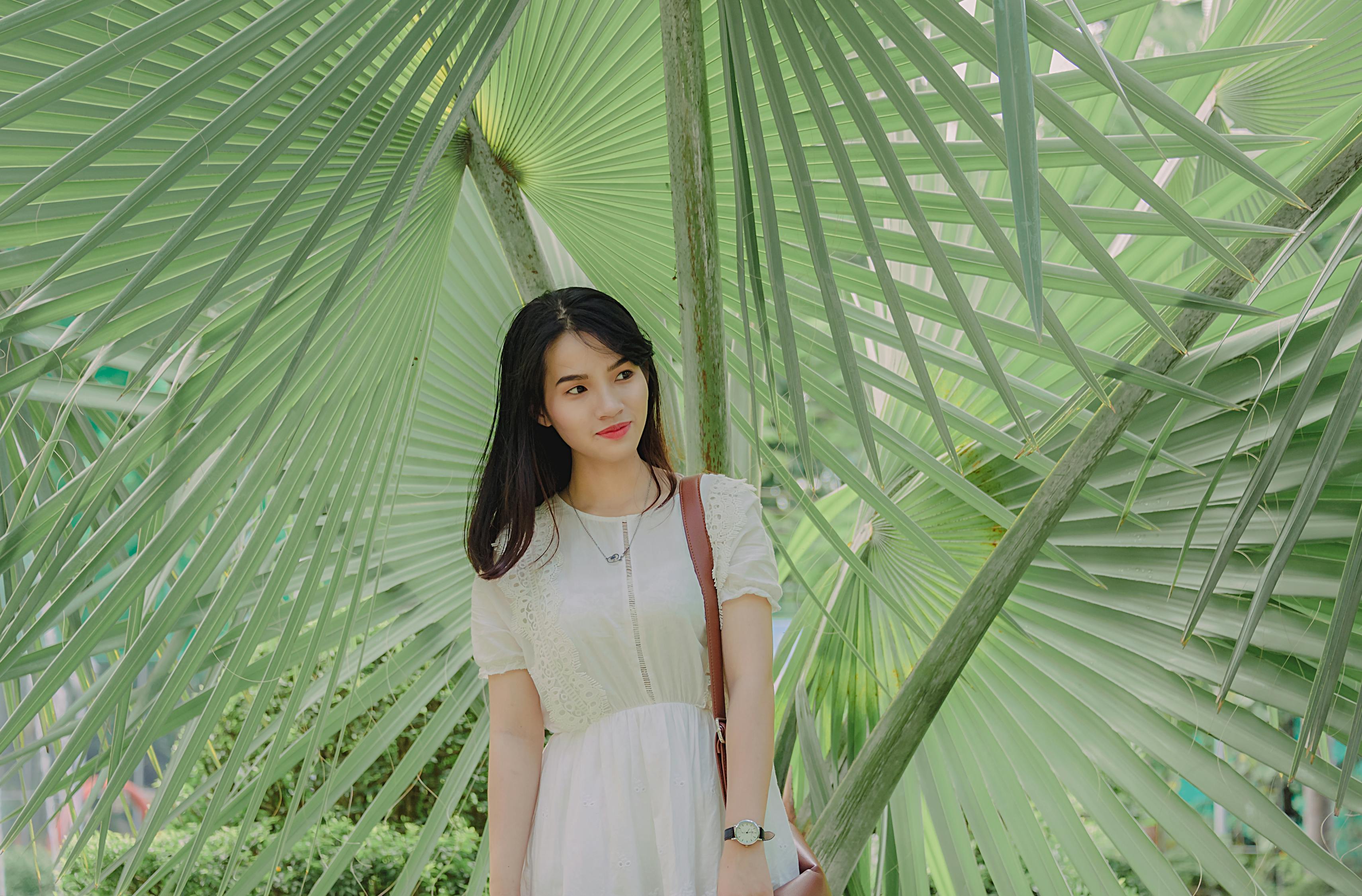 明星女图片大全,美丽与才华的璀璨交汇点