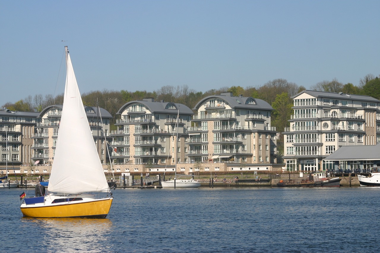 提莫比赛之旅，赛场上的辉煌历程