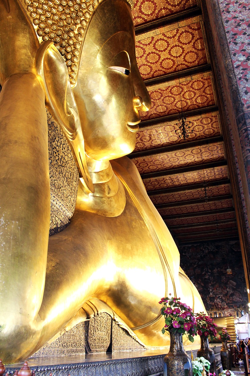 瑜伽教练与电影,探索身心合一的艺术之旅的奥秘