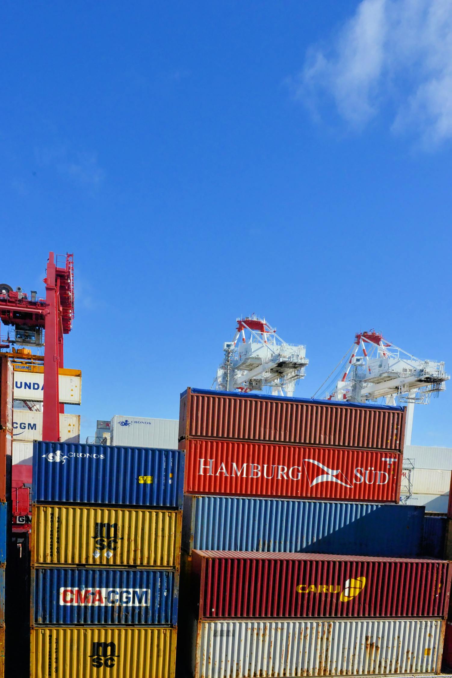 印度产尼达尼布价格及其市场影响分析