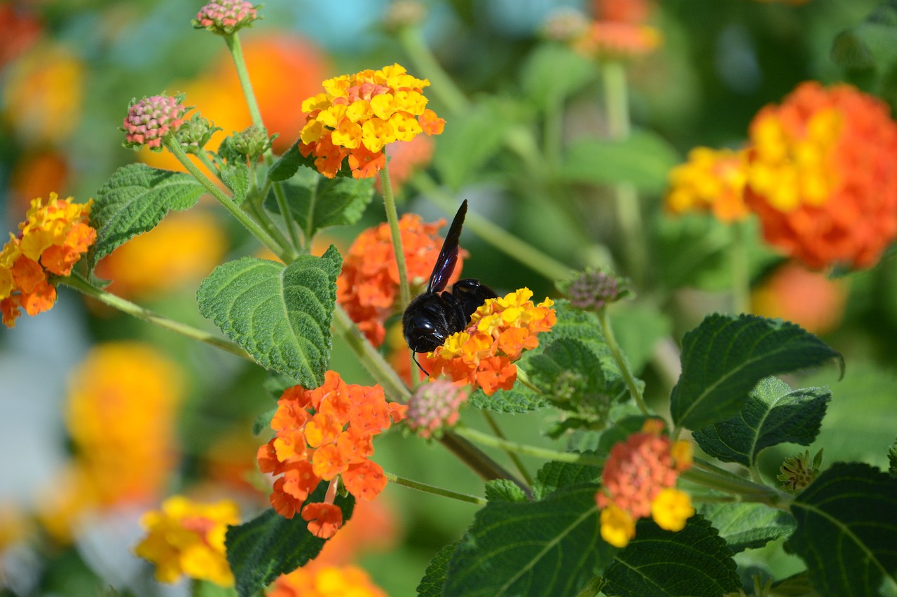 黄岛张家楼最新资讯概览,最新动态一网打尽!