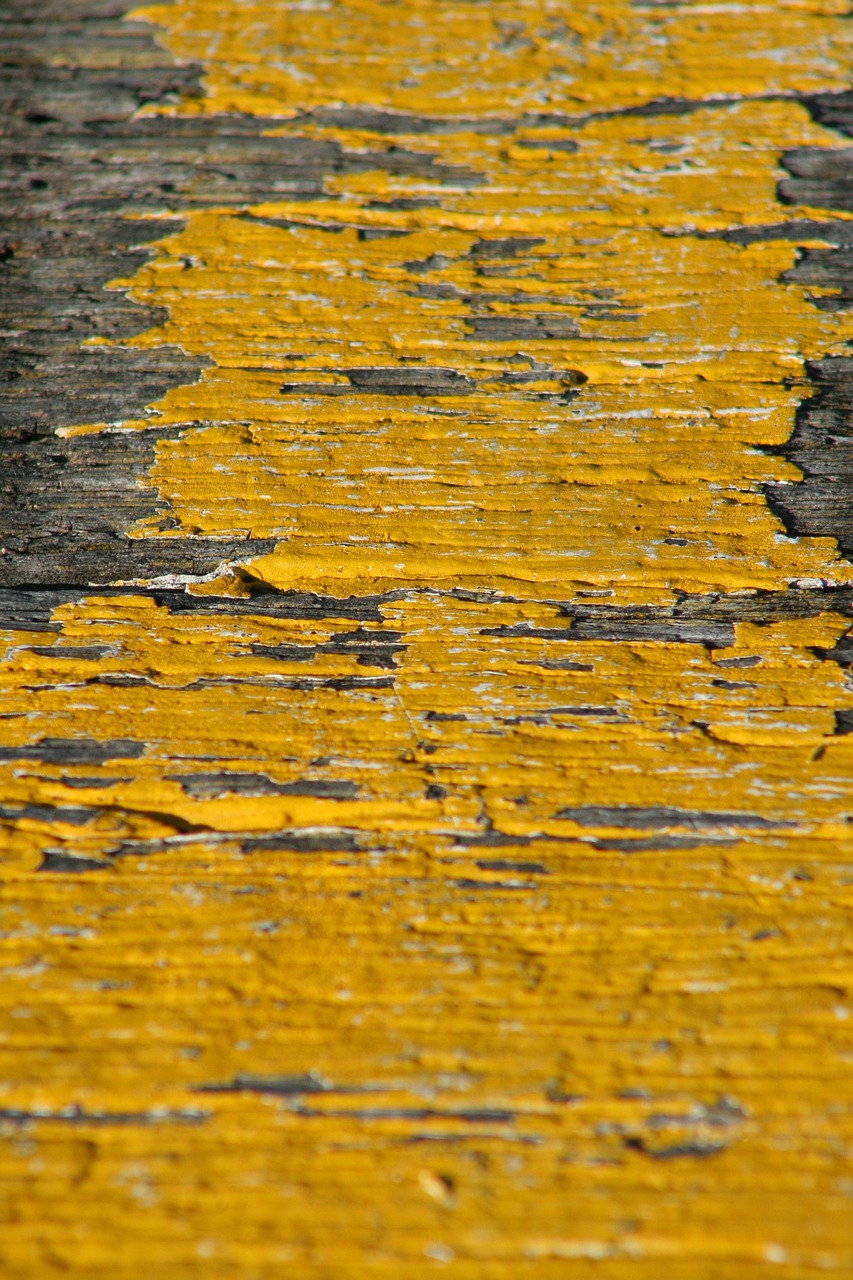 社旗县晋庄最新动态,乡村振兴与社区发展同步前行