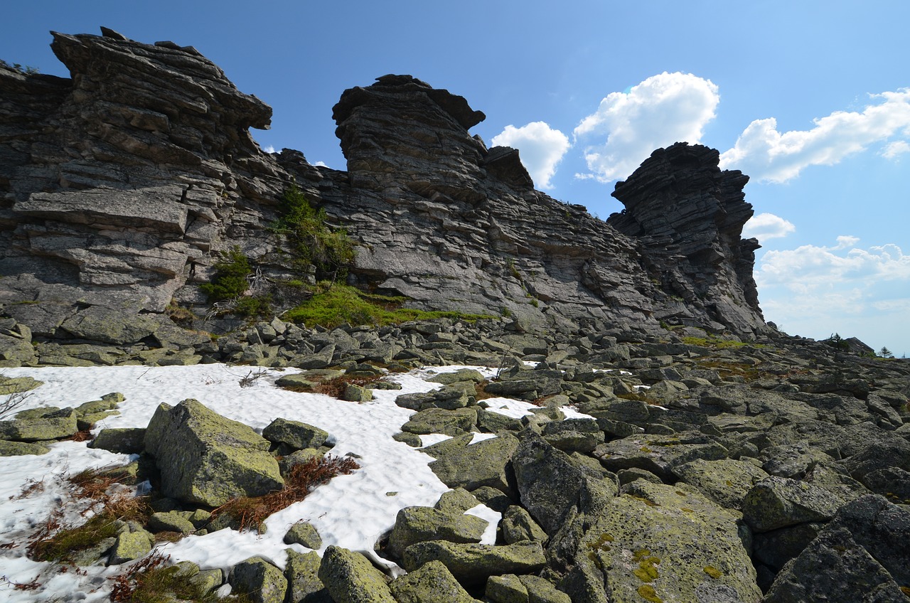 柯迪亚克最新价格动态,深度解析市场趋势与消费者需求影响