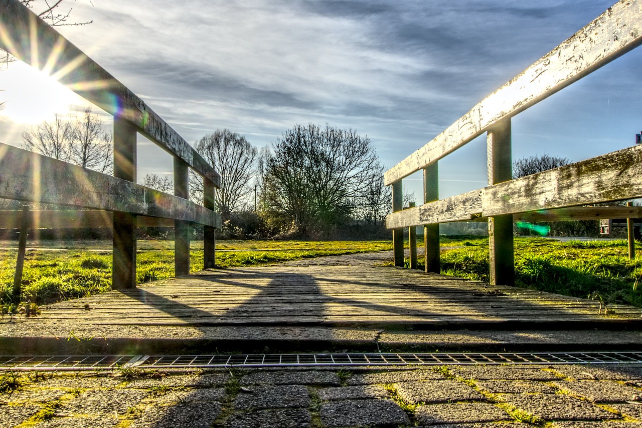 杨幂最新动态,娱乐圈中的璀璨明星闪耀不止