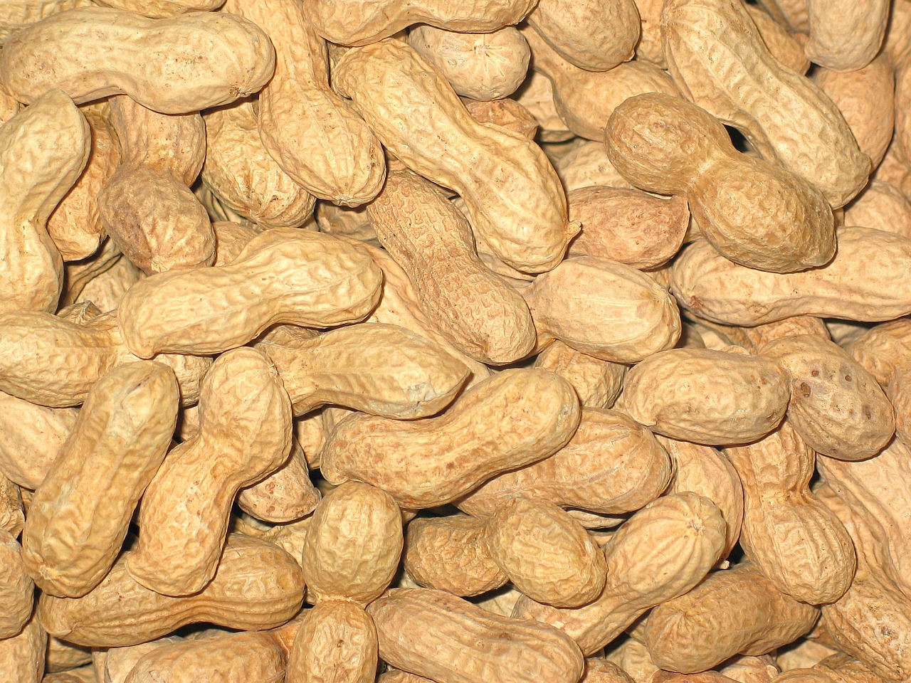 河南花生米市场价格大全