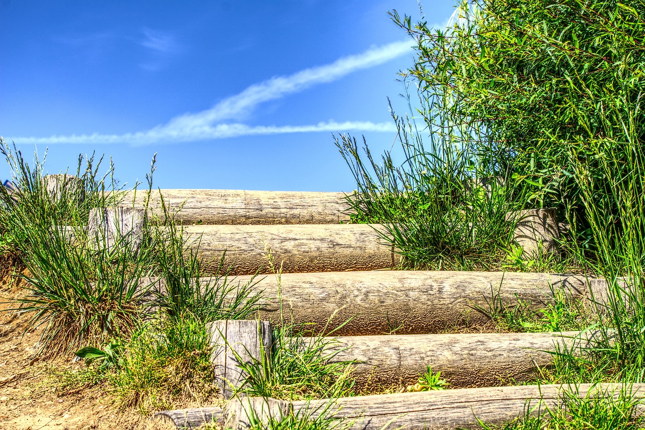 胶州区域划分的最新动态更新
