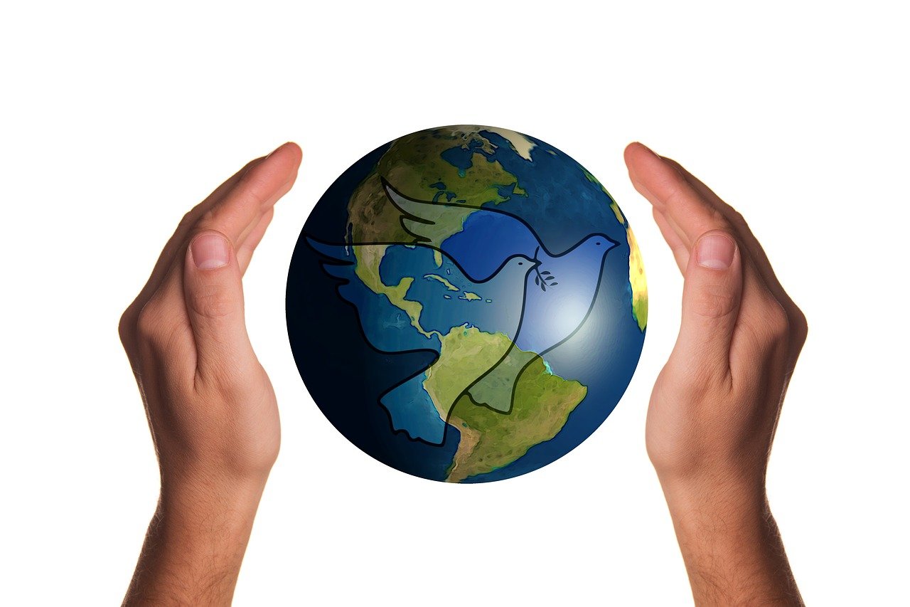 全球蝗灾肆虐,粮食安全面临严峻挑战