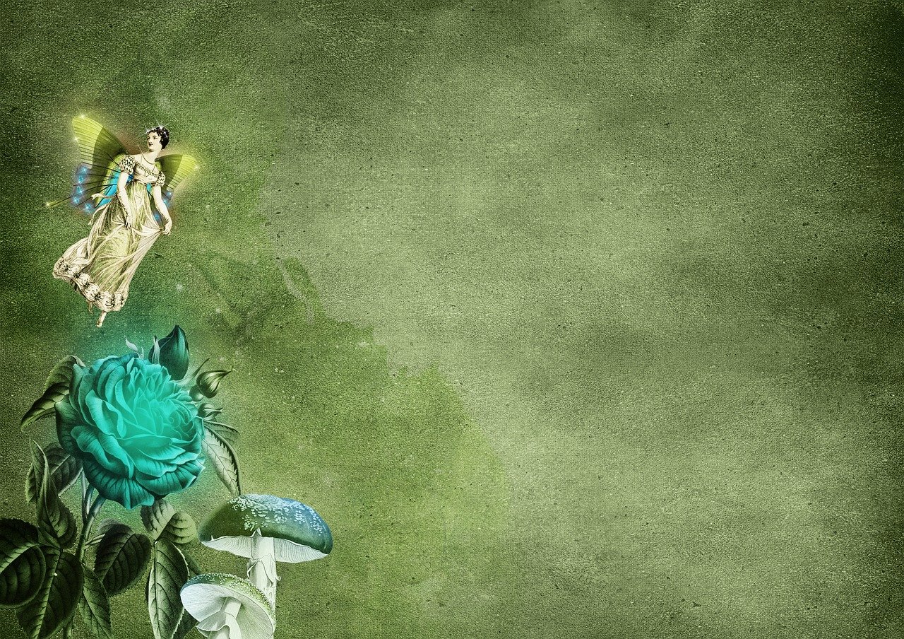 大主宰章节更新阅读的魅力与探索之旅