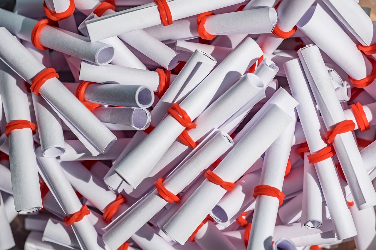 长治鸡蛋价格行情今日分析,市场动态一览