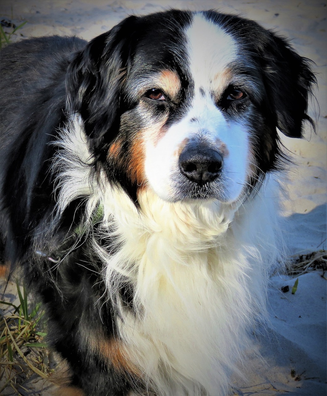 新澳2024最新资料大全-灵敏的852.967