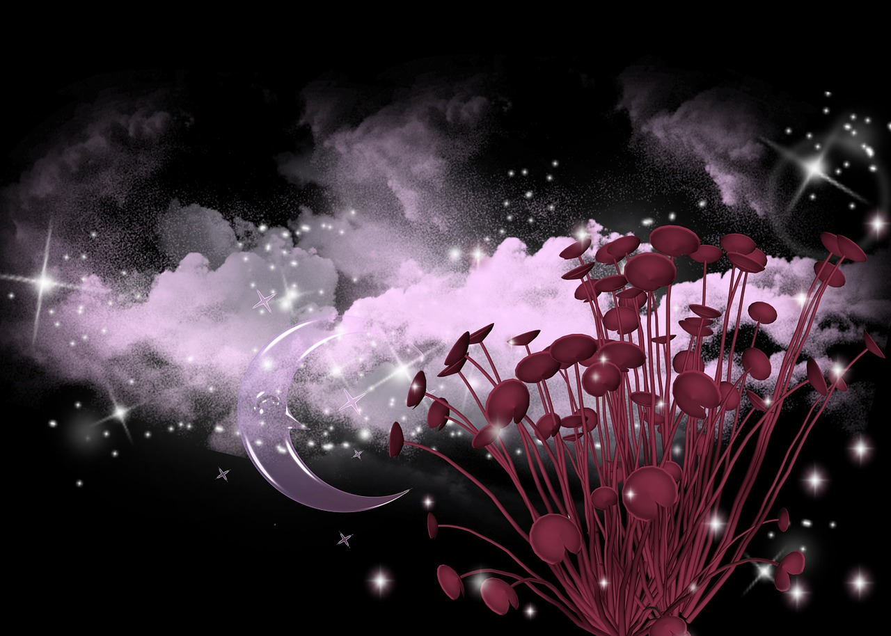 最新影之诗虹卡排行与解析,热门卡牌排名及深度解读