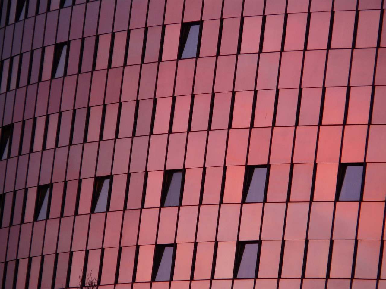 马容新动态,引领潮流,探索未来新趋势