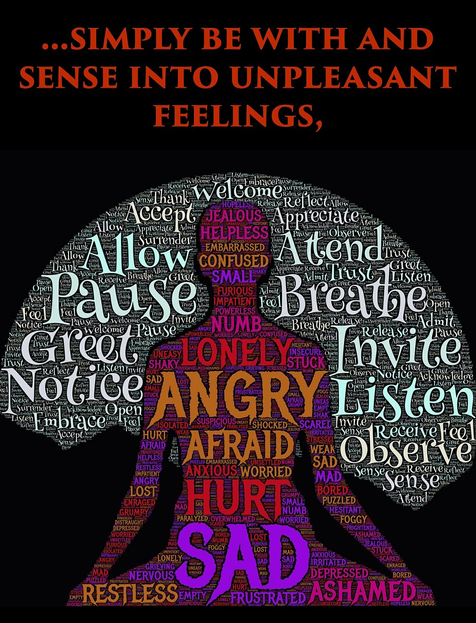 最新哀悼视频,纪念与缅怀的情感表达