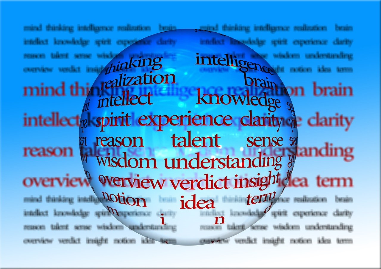 中蜂巢础价格分析与影响因素探讨,市场洞察报告