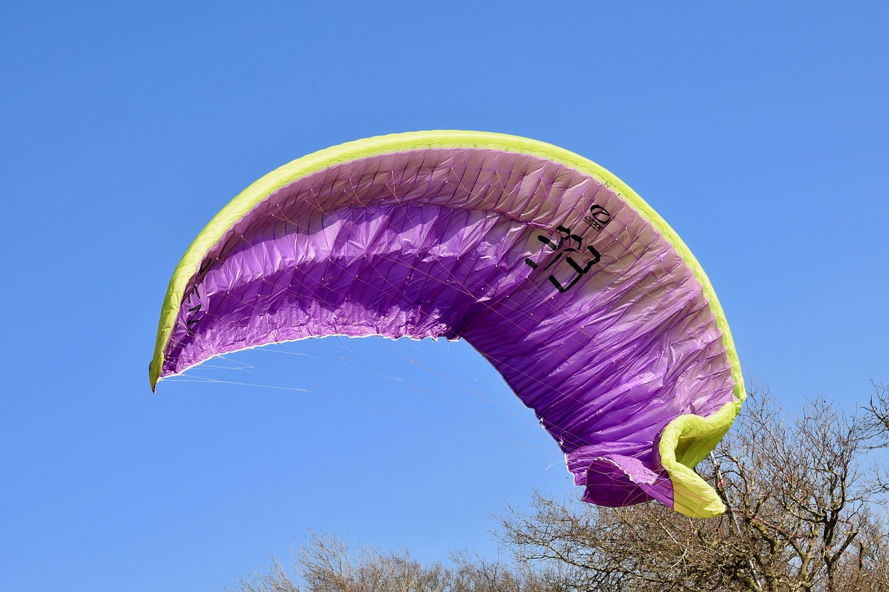 龙5最新动态揭秘,新篇章揭开神秘面纱