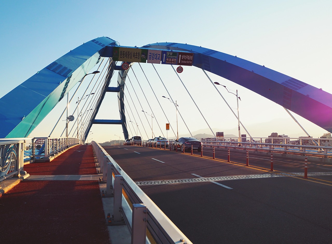 全球最新肺炎动态解析,疫情状况与应对策略探讨