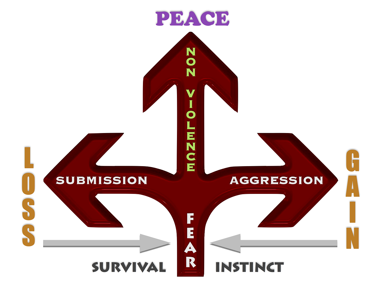 朱国瑜微博最新动态,探索未知,分享生活点滴