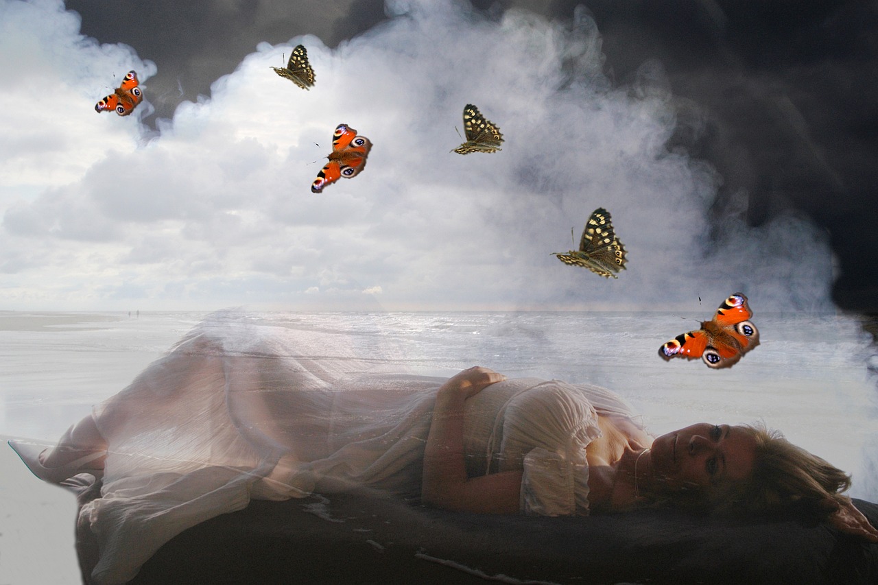 沙城招聘最新资讯,探索人才市场的最新动态与机遇