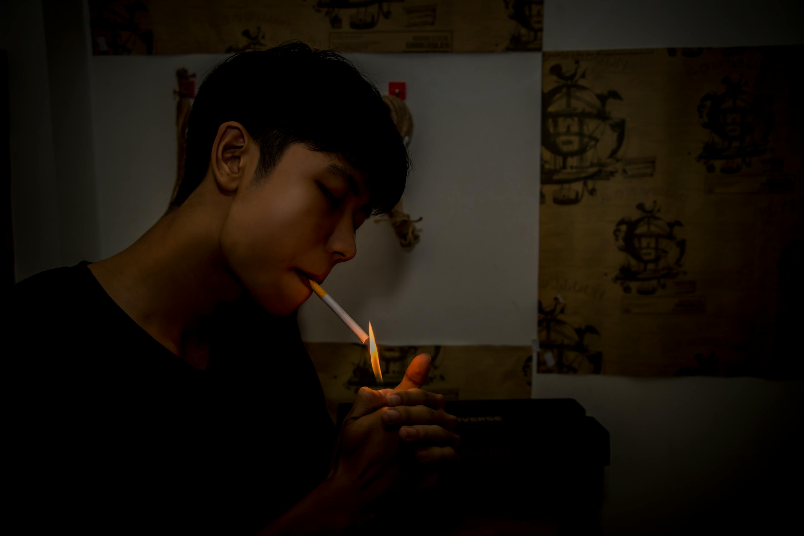 法中情电影,法律与情感的交织探寻