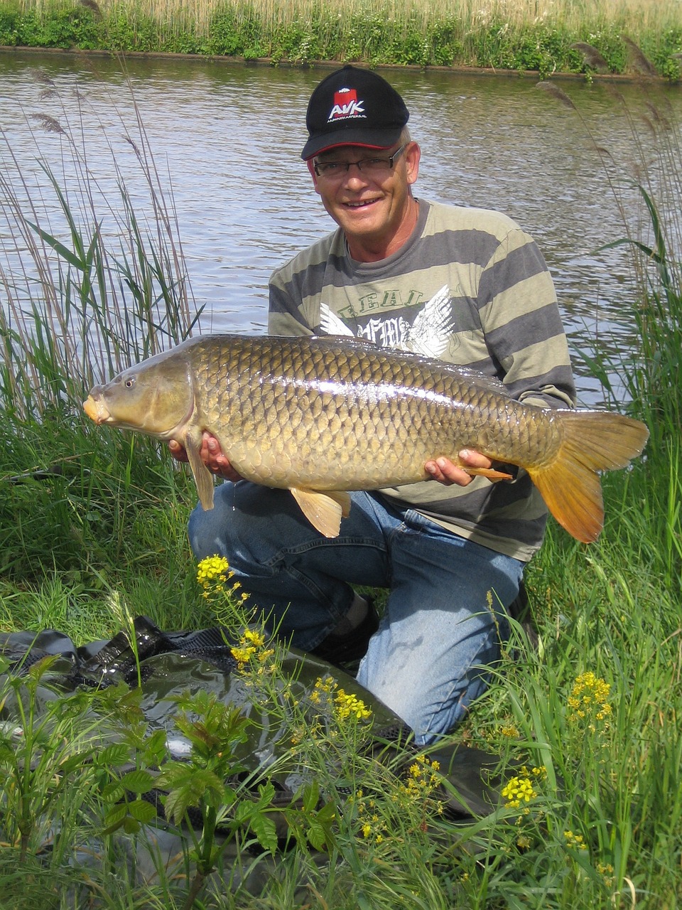 鲤鱼钓法全新指南,提升钓鱼体验的专业技巧与指南