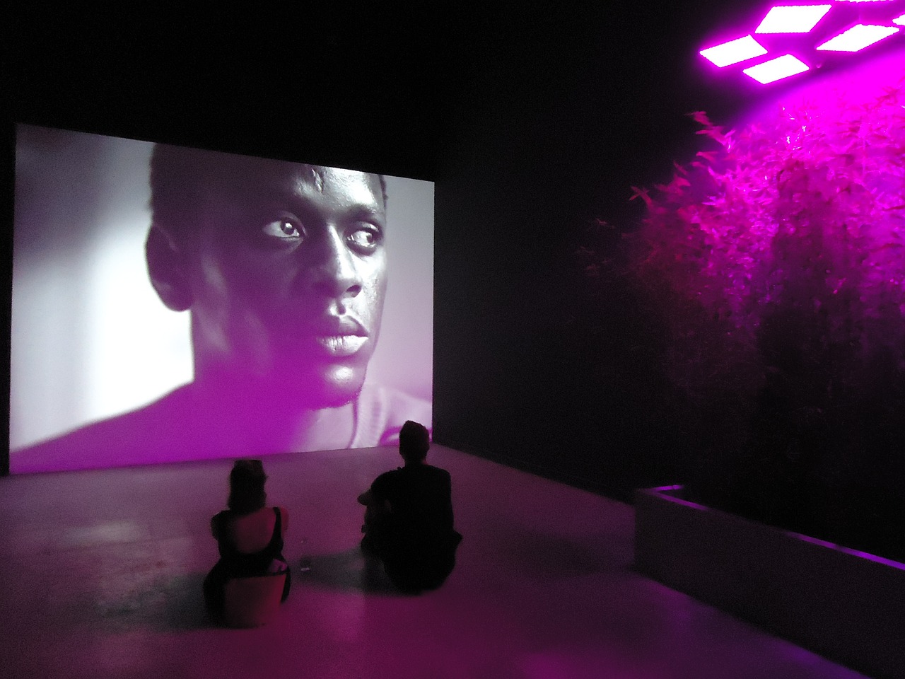 小窝电影网,影视娱乐的新天地探索