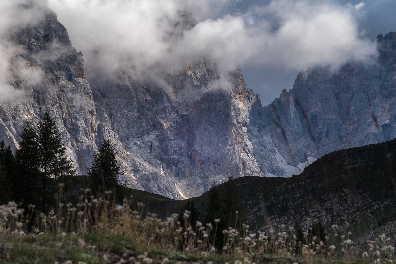 湖人兰德尔强势崛起,最新动态揭示他的惊人表现