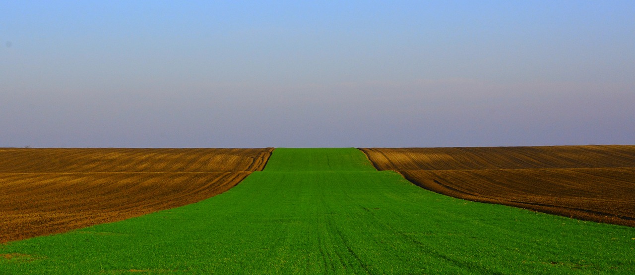 合肥电厂搬迁最新动态,迈向绿色发展的转型之路进展报告