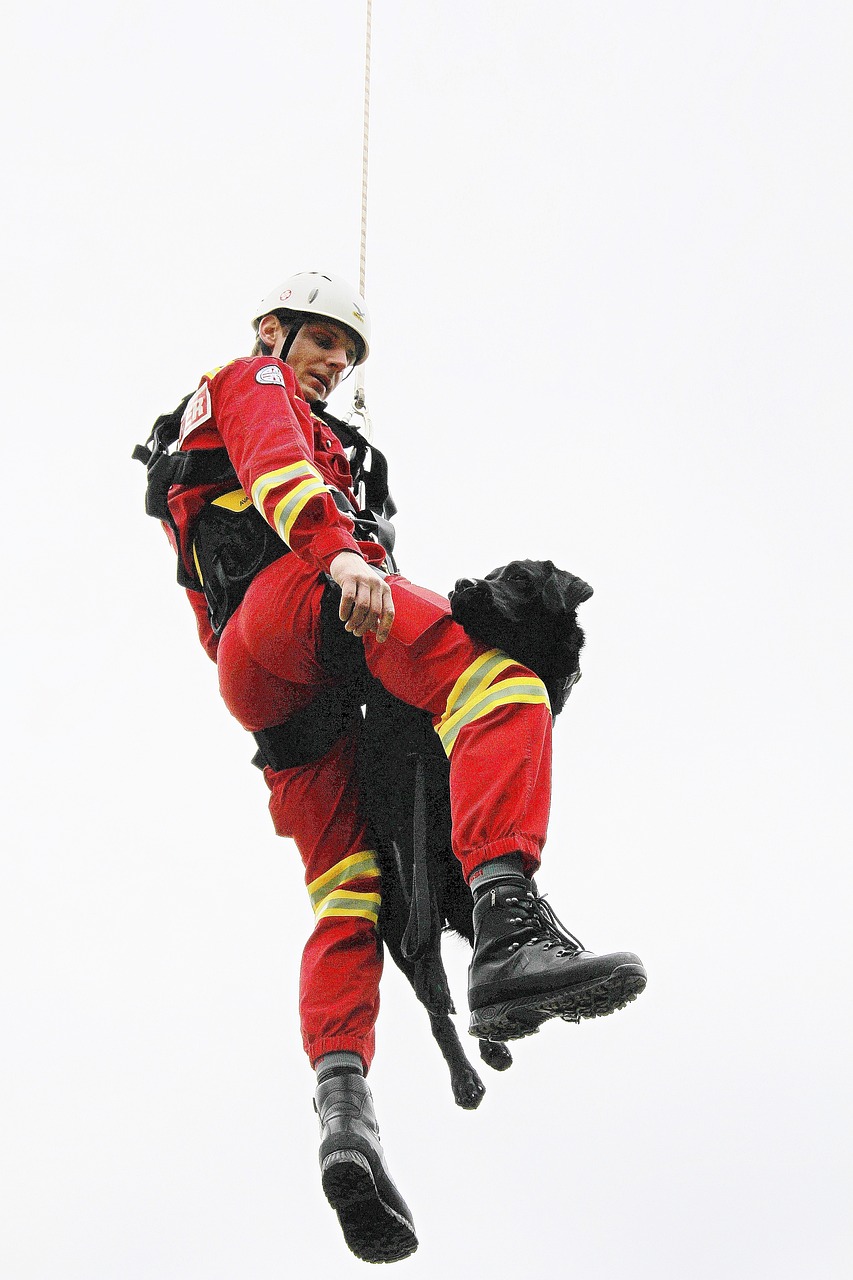 刚果金中国企业最新动态更新,最新发展及活动概述