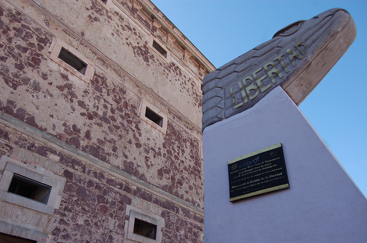 探索与发现的艺术之旅,最新图片刘的独家展示