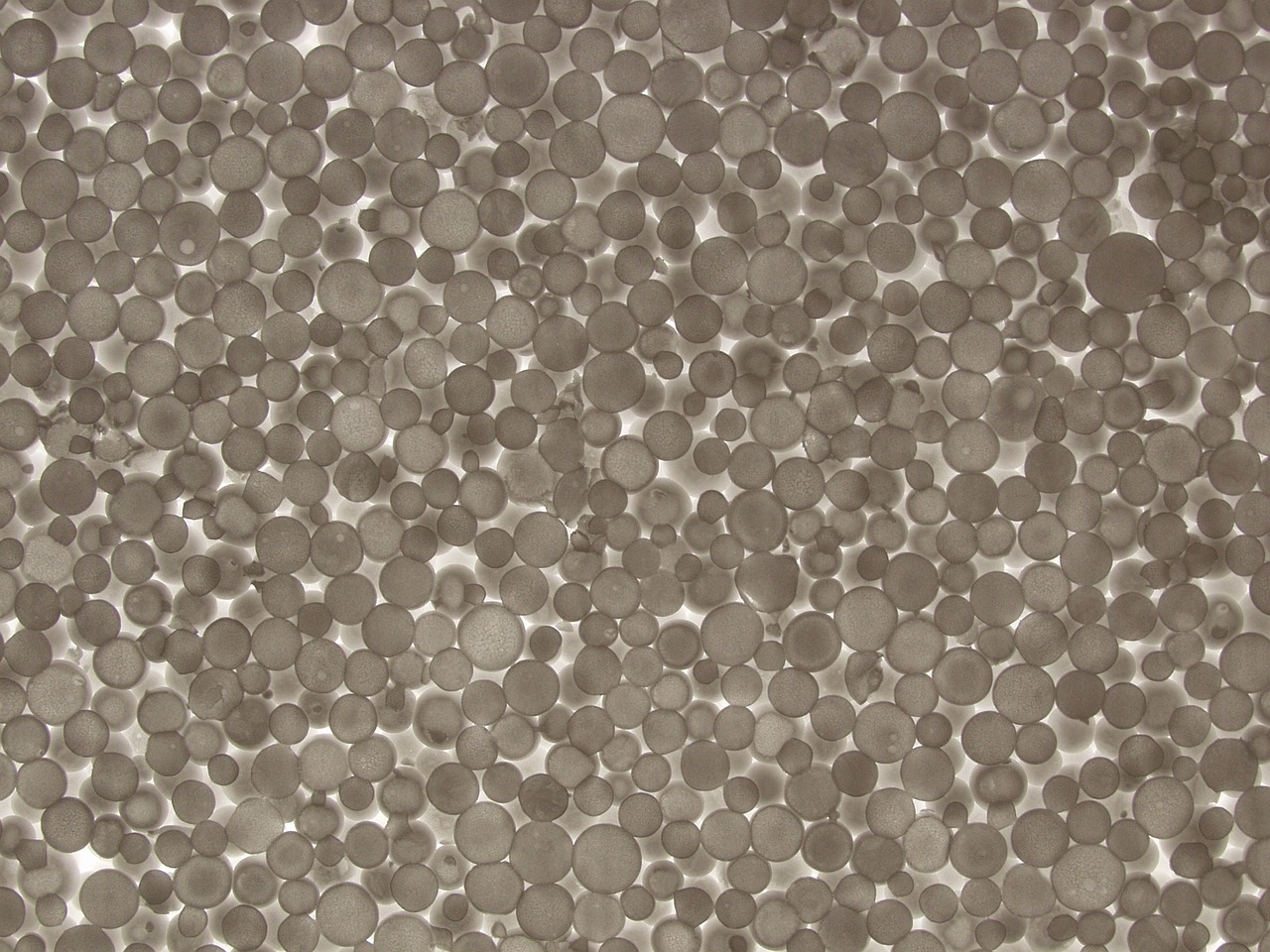 今日聚苯乙烯价格行情分析与解读