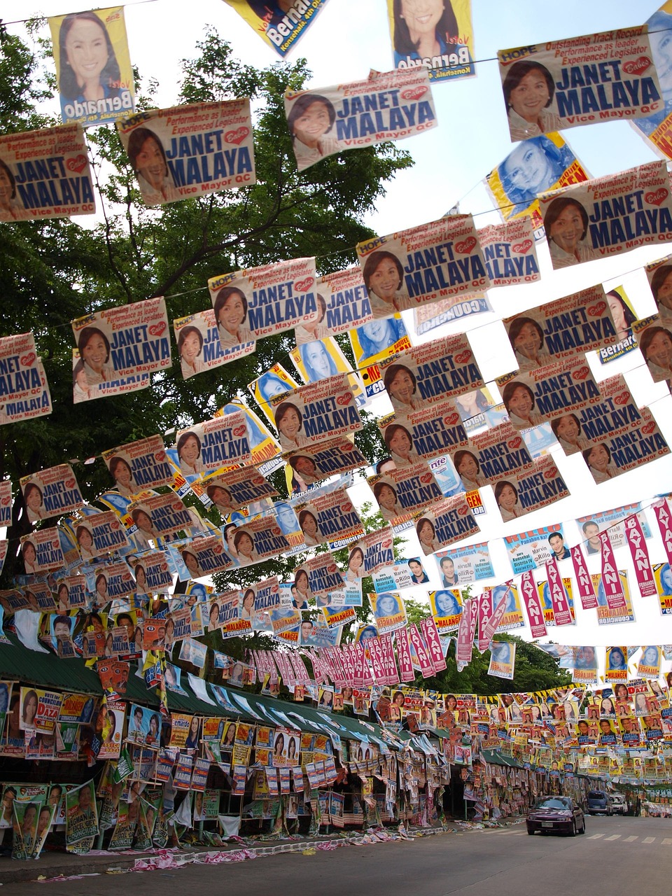 探寻马匹行情背后的市场动态与趋势