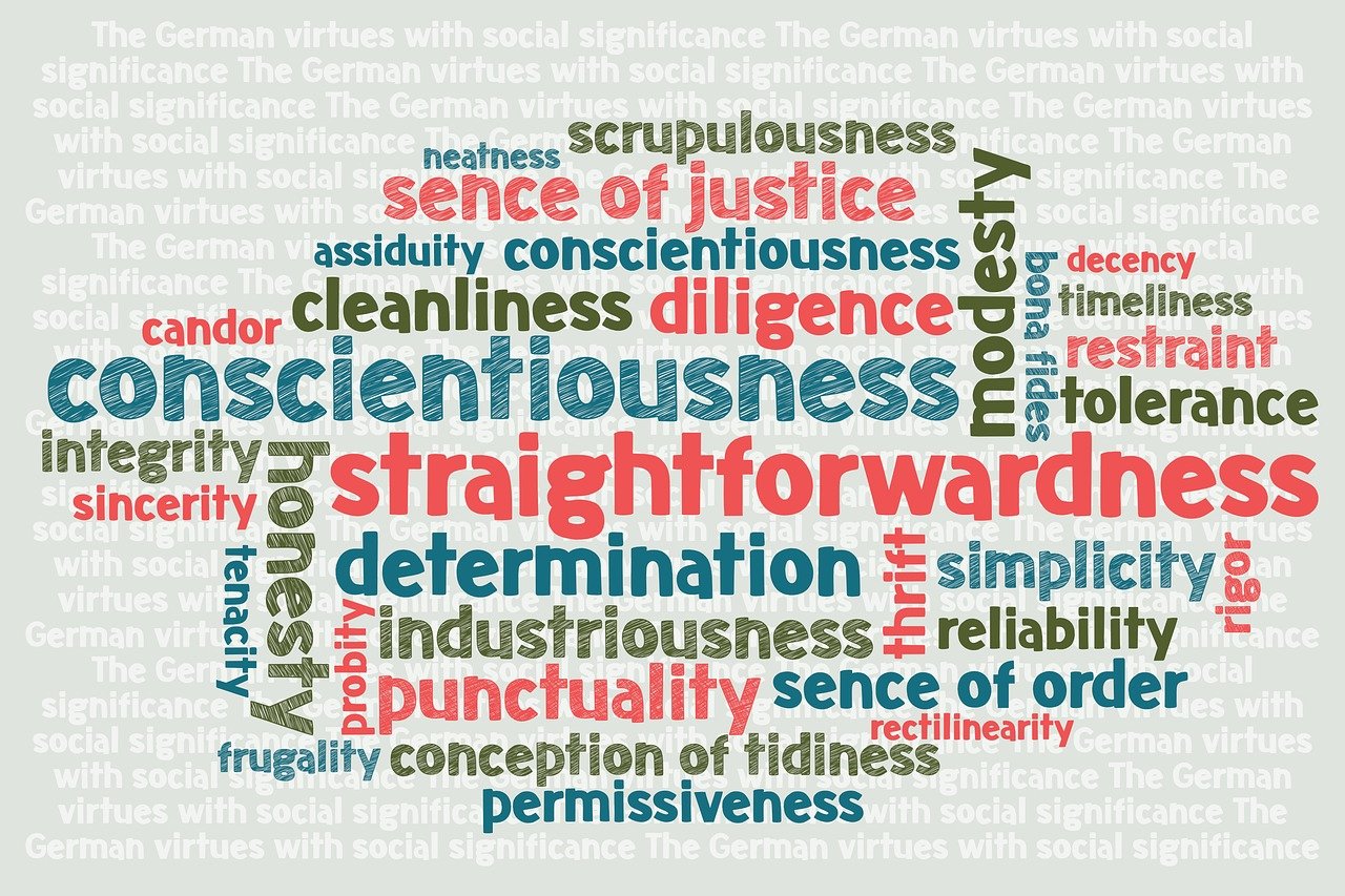 香港现任行政长官及其领导的发展概览