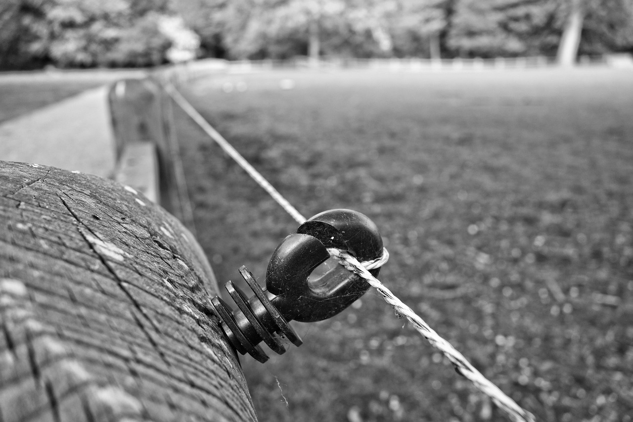 非法集资最新动态,揭示风险,加强防范与打击力度