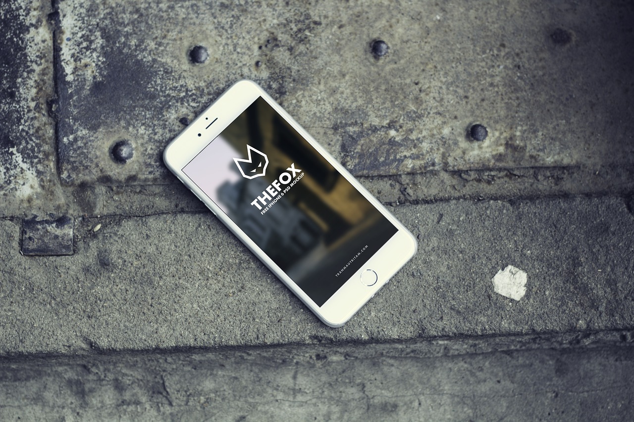 探索数字时代的全新领域,最新号网信息速递