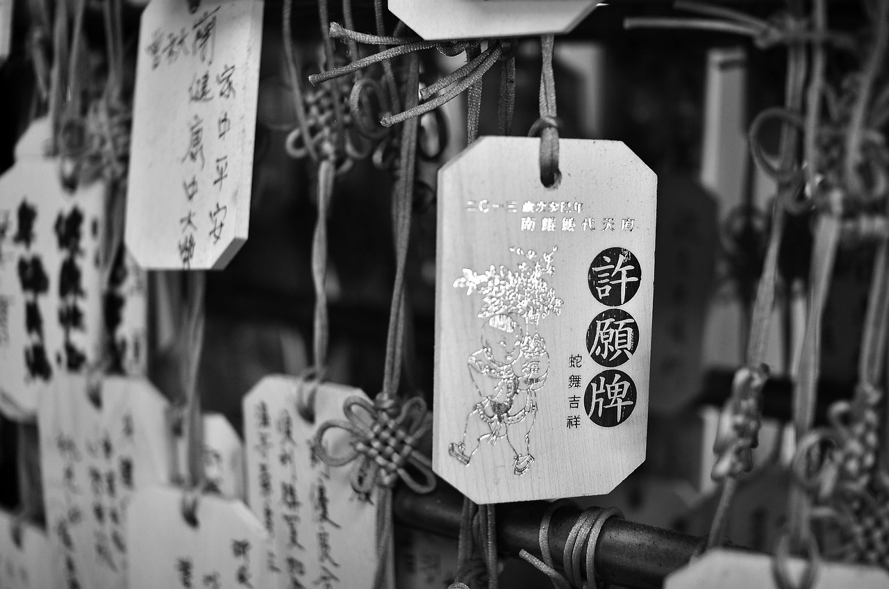 2017年非你莫属最新一期节目深度解析